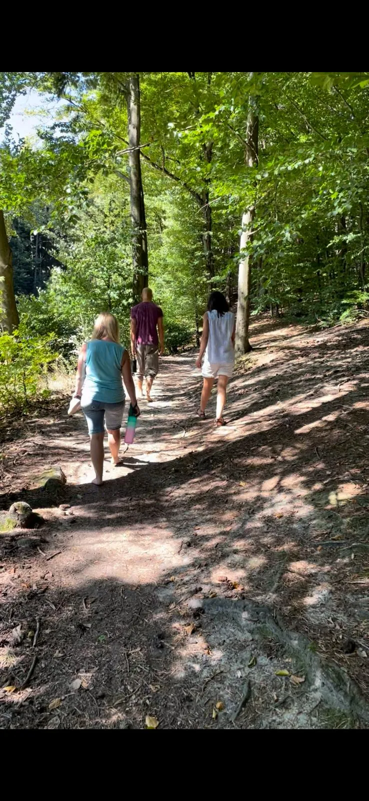 Gemeinsamer Spaziergang im Wald